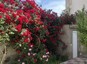 Satılır 3 otaqlı həyət evi/bağ evi 135 m², M.Ə.Rəsulzadə q., photo 7 from 8