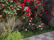 Elan №4902839 - Bakı, M.Ə.Rəsulzadə q., 3 otaqlı, 135 m²