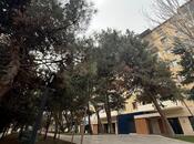 Объявление №4904788 - Баку, м. Ичеришехер, 3-комн., 70 м², 2/7 этаж