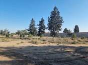 Elan №4925751 - Bakı, Binə q., 90 sot