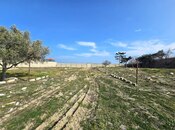 Satılır  torpaq 100 sot, Buzovna q., photo 5 from 8