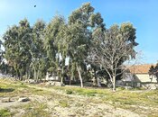 Satılır  torpaq 100 sot, Buzovna q., photo 6 from 8