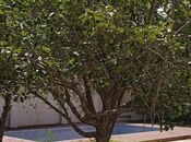 Продаётся 5-комн. дом/дача 258 м², пос. Сулутепе, photo 8 from 8