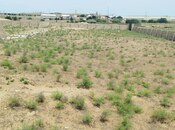 Satılır  torpaq 25 sot, Zirə q., photo 2 from 5