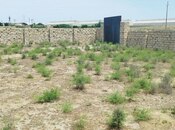 Satılır  torpaq 25 sot, Zirə q., photo 3 from 5
