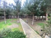 Satılır 7 otaqlı həyət evi/bağ evi 1 000 m², Pirşağı q., photo 4 from 8