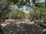 Satılır  torpaq 18 sot, Elmlər Akademiyası m., photo 4 from 6