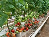 Продаётся  объект 74 000 м², пос. Зире, photo 3 from 3