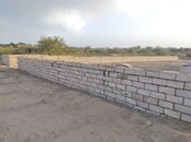 Satılır  torpaq 500 sot, Zirə q., photo 2 from 5