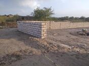 Satılır  torpaq 500 sot, Zirə q., photo 4 from 5