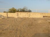 Elan №4991251 - Bakı, Zirə q., 500 sot