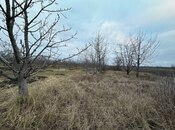 Satılır  torpaq 16 sot, photo 3 from 5