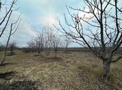 Elan №4993308 - Quba, Quba, 16 sot