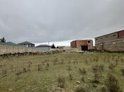 Продаётся  участок 12 сот, пос. Шувеляны, photo 8 from 8