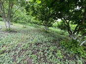 Продаётся  участок 4 сот, photo 3 from 8