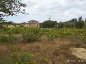 Объявление №5005923 - Баку, пос. Пиршаги, 3 сот