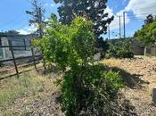 Продаётся  участок 3 сот, пос. Пиршаги, photo 3 from 8