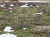 Продаётся  участок 12 сот, пос. Нардаран, photo 5 from 8