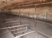 Продаётся  участок 16 сот, photo 4 from 8