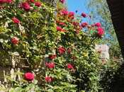 Продаётся 5-комн. дом/дача 300 м², пос. Мардакан, photo 6 from 8