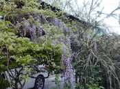 Продаётся 5-комн. дом/дача 300 м², пос. Мардакан, photo 4 from 8