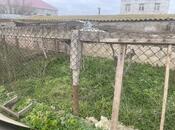 Satılır  torpaq 10 sot, Albalılıq q., photo 5 from 6