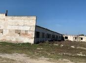 Сдаётся  объект 500 м², пос. Бина, photo 2 from 3