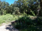 Satılır  torpaq 101 sot, photo 3 from 4