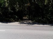 Satılır  torpaq 101 sot, photo 4 from 4