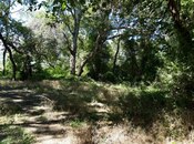 Elan №5041131 - Şabran, Şabran, 101 sot