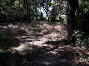 Satılır  torpaq 101 sot, photo 2 from 4