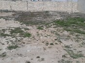 Satılır  torpaq 6 sot, Badamdar q., photo 5 from 5