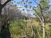 Объявление №5047904 - Баку, м. Гянджлик, 7 сот