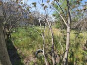 Продаётся  участок 7 сот, м. Гянджлик, photo 6 from 8