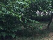 Продаётся 4-комн. дом/дача 210 м², photo 8 from 8