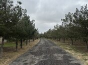 Участок - пос. Шувеляны - 14.4 сот