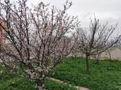 Продаётся 6-комн. дом/дача 270 м², пос. Фатмаи, photo 7 from 8