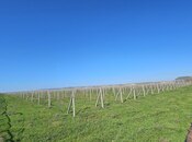 Satılır  torpaq 700 sot, Masazır q., photo 5 from 8