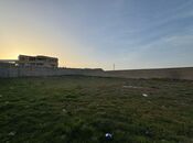 Продаётся  участок 60 сот, пос. Бадамдар, photo 7 from 8