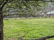 Объявление №4749866 - Габала, Габала, 4 сот