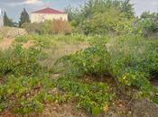 Satılır  torpaq 13 sot, Novxanı q., photo 1 from 1