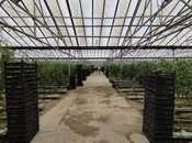 Продаётся  объект 220 000 м², пос. Тюркан, photo 5 from 8