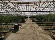 Продаётся  объект 220 000 м², пос. Тюркан, photo 2 from 8