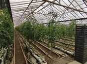 Продаётся  объект 220 000 м², пос. Тюркан, photo 3 from 8