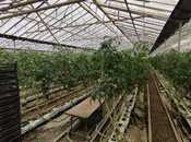 Продаётся  объект 220 000 м², пос. Тюркан, photo 4 from 8