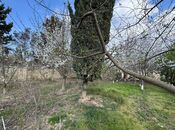 Продаётся  участок 40 сот, пос. Бадамдар, photo 7 from 8