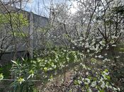 Продаётся  участок 40 сот, пос. Бадамдар, photo 3 from 8