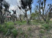 Продаётся  участок 95 сот, пос. Бадамдар, photo 6 from 8