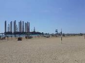 Объявление №5099485 - Баку, пос. Шихов , 530 сот