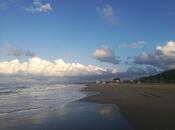 Продаётся  участок 530 сот, пос. Шихов , photo 5 from 8